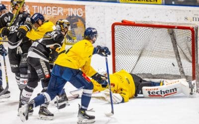 EVF gelingt in Stuttgart souveräner 7:3-Erfolg