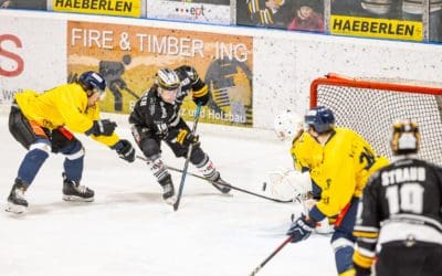 Wichtiger 6:3-Erfolg für den EVF in Stuttgart