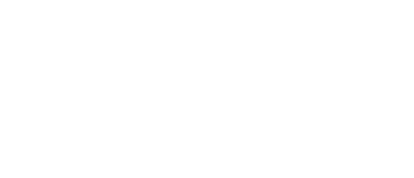 Fischer Reinach