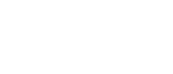 Allgaier Kunststoffv. GmbH & Co. KG