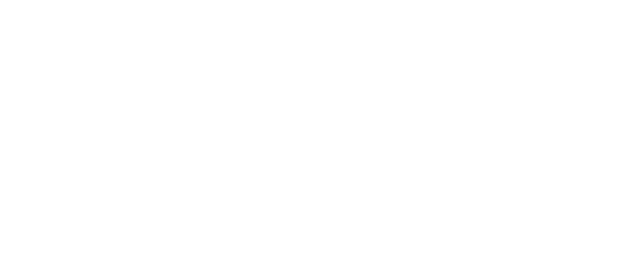 Elektro Friederich GmbH