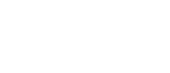 Pleier24