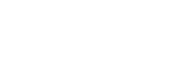 Pleier24