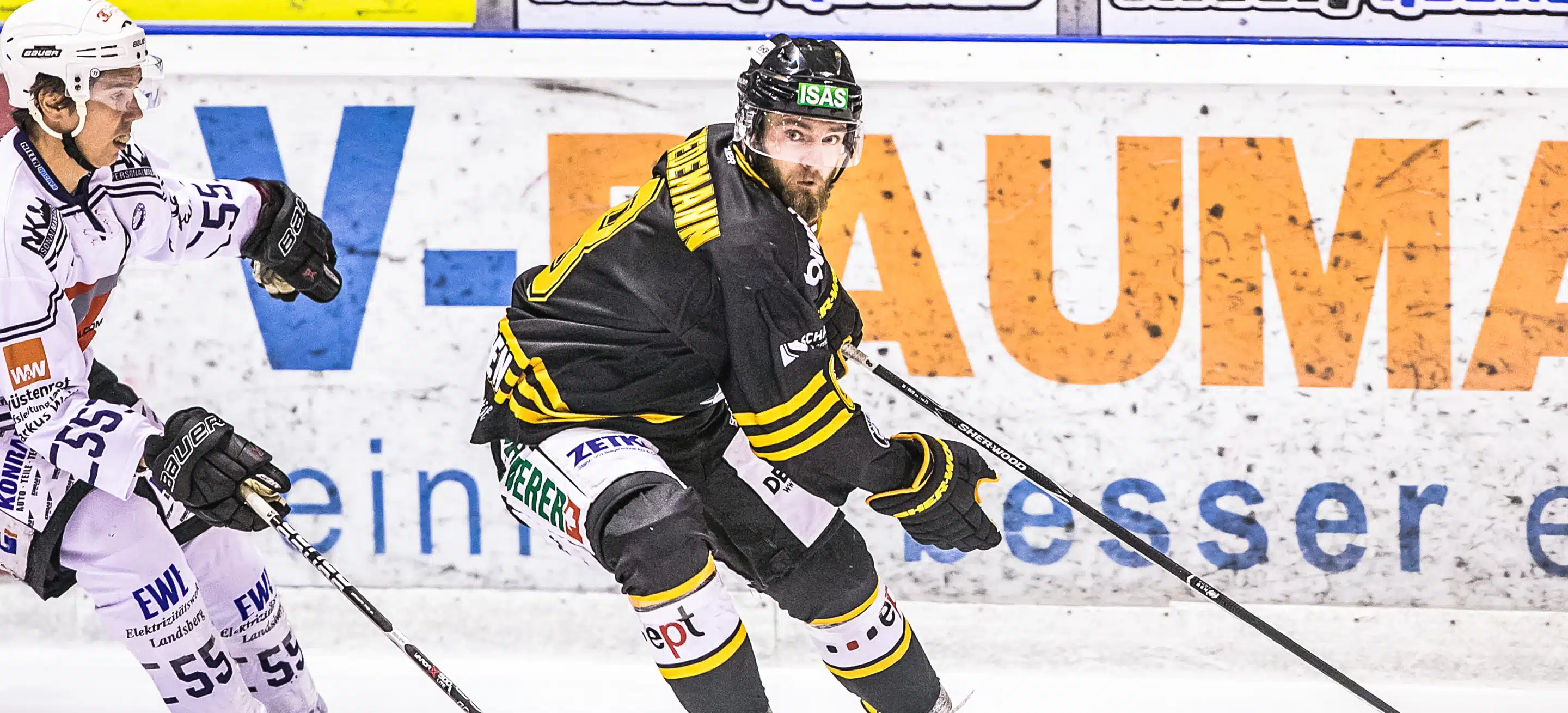 EVF_Webseite_WiedemannV