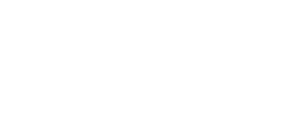 Wilhelm Geiger GmbH & Co KG